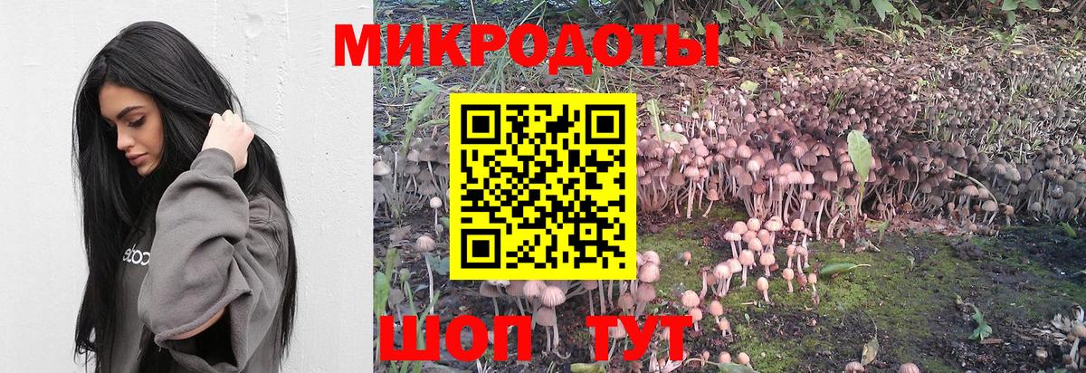 Галлюциногенные грибы Cubensis  Вход с VPN  Скопин 